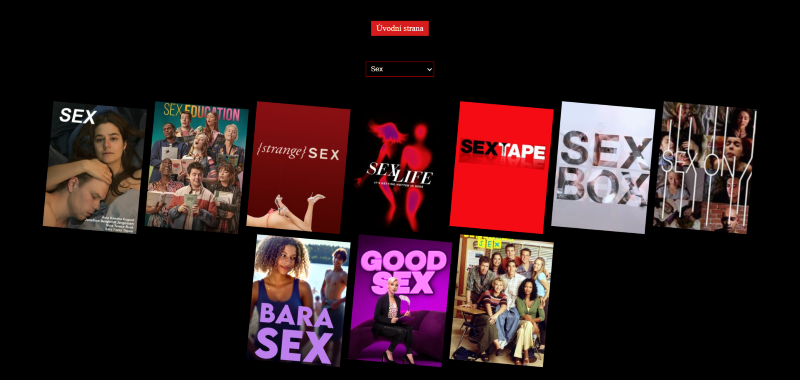 Netflix project screenshot 2