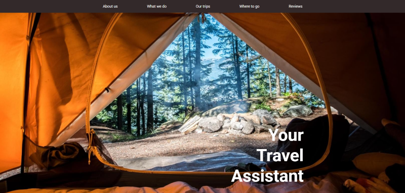 Responsive project screenshot 1